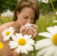 Strona o alergiach – tekst dla alergików